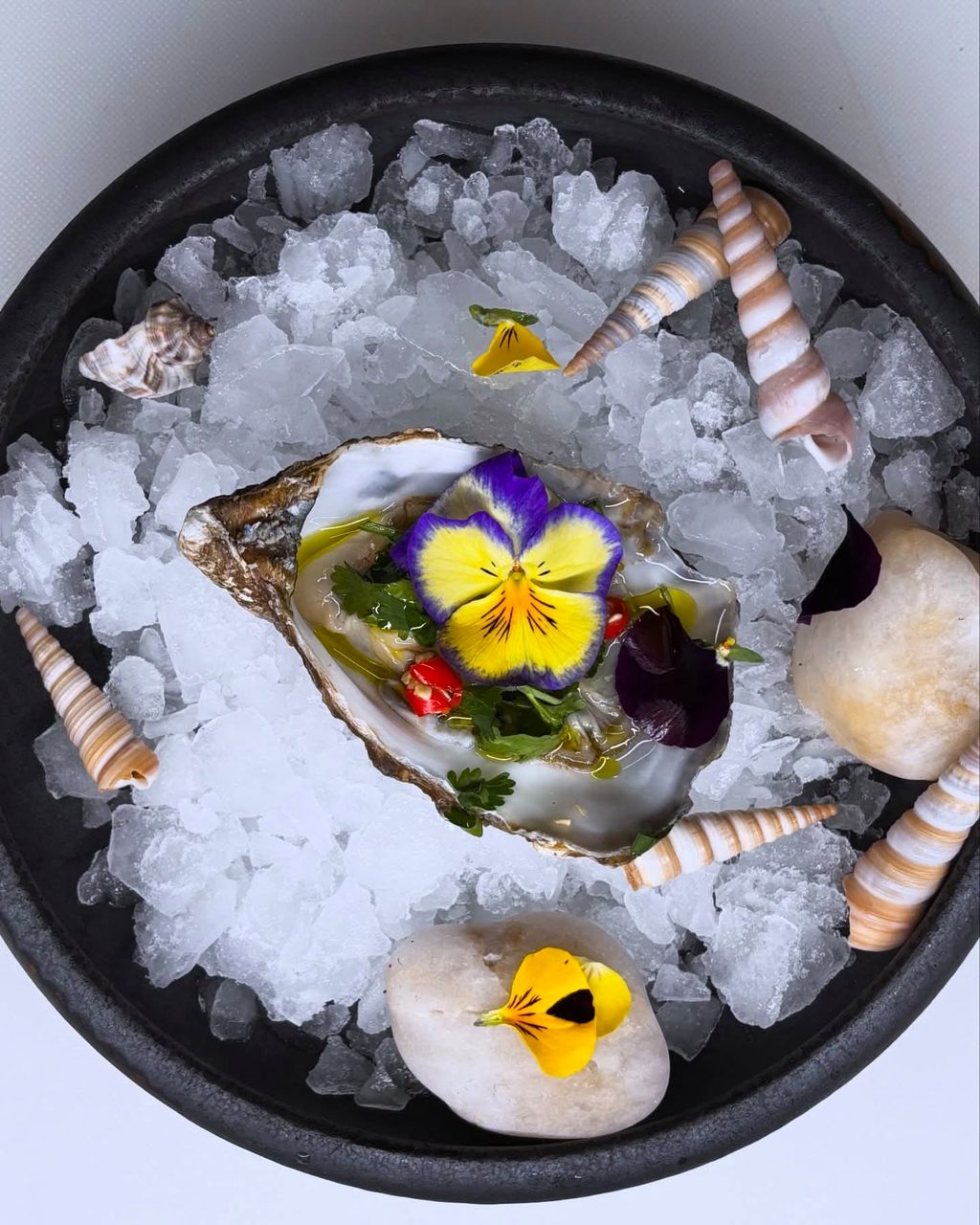 Ostra GEAY emplatada sobre hielo con flor comestible