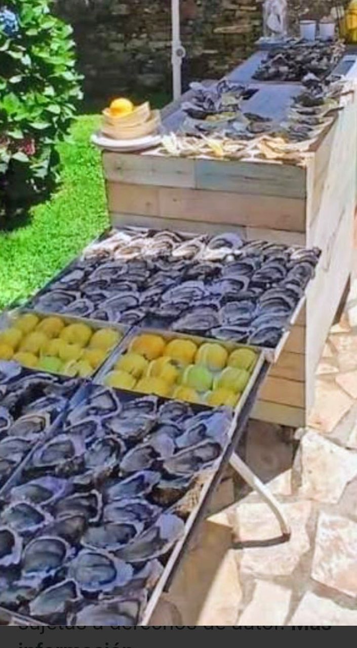 Mostrador de ostras frescas con limones montado en un evento